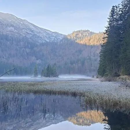 Ledererhof Lunz Am * Lunz am See