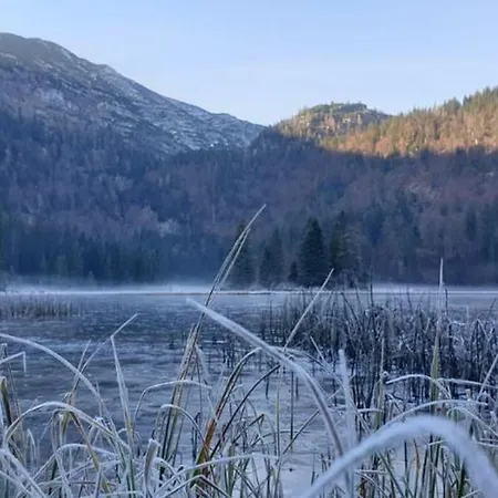 Ledererhof Lunz Am Appartement *