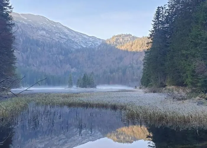 Ledererhof Lunz Am * Lunz am See