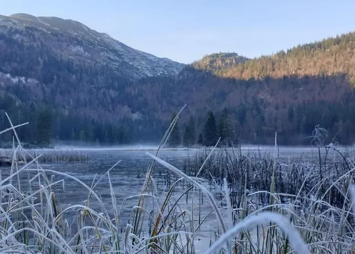 Ledererhof Lunz Am Διαμέρισμα *